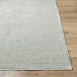 Surya Anelka ANK-2300 Light Silver Area Rug Fashion