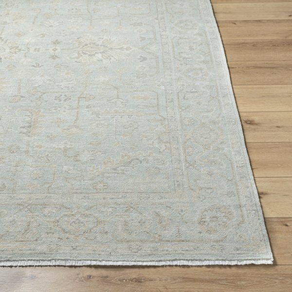 Surya Anelka ANK-2300 Light Silver Area Rug Fashion