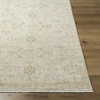 Surya Anelka ANK-2306 Pearl Area Rug Cheap