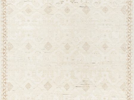 Surya Agora ARG-2300 Off-White Area Rug Hot on Sale