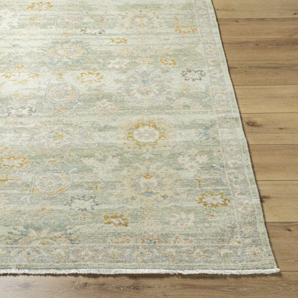 Surya Anelka ANK-2304 Ash Area Rug For Sale