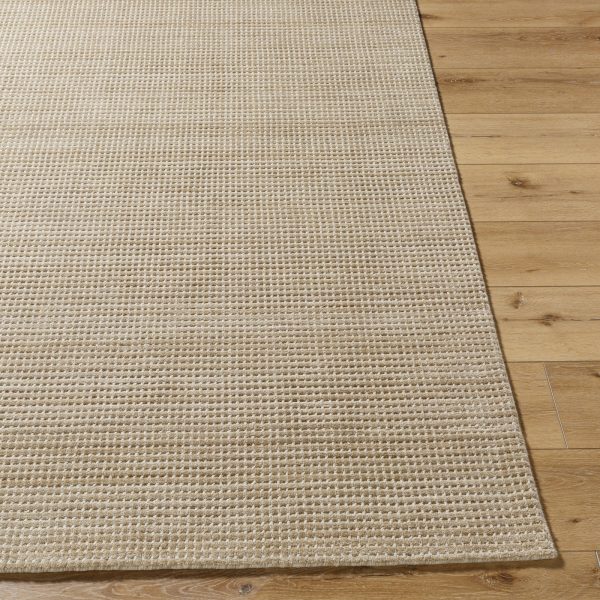 Surya Boston BBT-2307 Tan Area Rug Supply