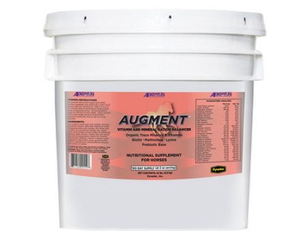 Augment Horse Supplement 20 Lbs by Adeptus Cheap