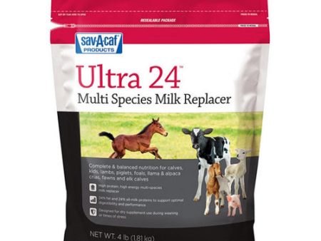 Ultra 24 Multi Species Milk Replacer 4 Lbs by Sav-A-Caf Online now