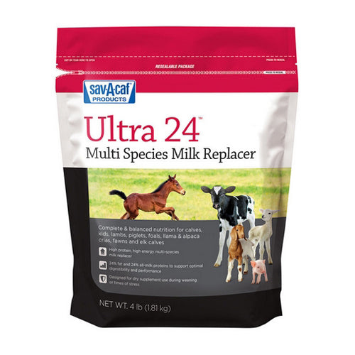 Ultra 24 Multi Species Milk Replacer 4 Lbs by Sav-A-Caf Online now