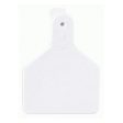 Z1 No-Snag Blank Calf Tags White 1 Count by Z Tags Hot on Sale