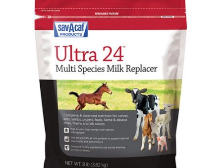 Ultra 24 Multi Species Milk Replacer 8 Lbs by Sav-A-Caf Cheap