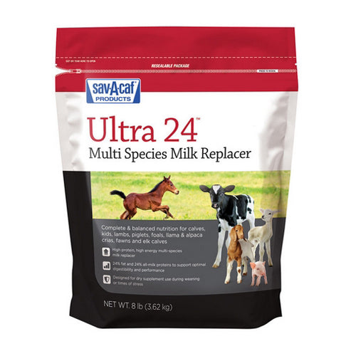 Ultra 24 Multi Species Milk Replacer 8 Lbs by Sav-A-Caf Cheap