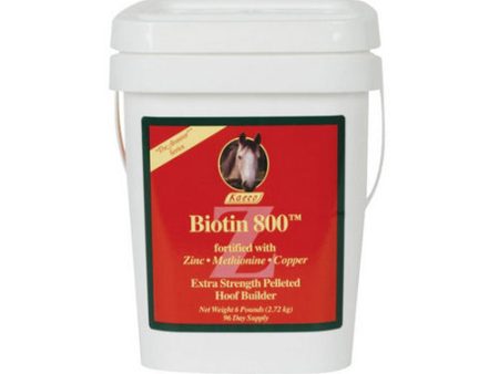 Biotin 800 Z Pellet Horse Supplement 6 Lbs by Kaeco Sale