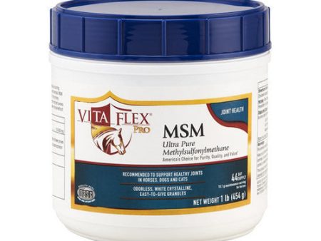 Vita Flex Pro Msm 1 Lb by Vita Flex Pro Online Hot Sale