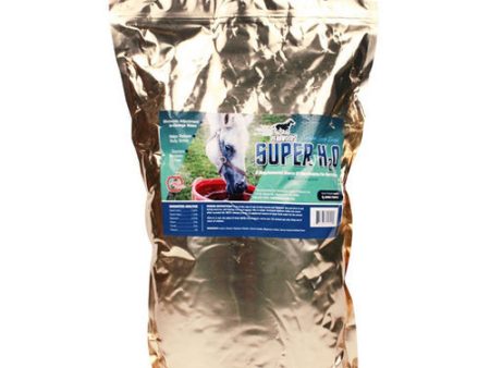 Super H2O Electrolytes For Horses Powder 15 Lbs by Pennwoods Fashion