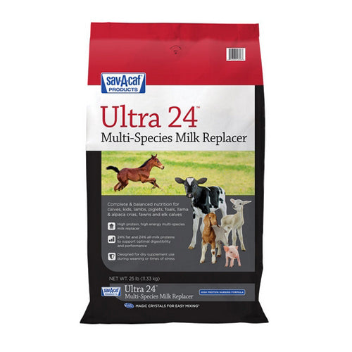 Ultra 24 Multi Species Milk Replacer 25 Lbs by Sav-A-Caf Cheap